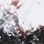 14759 - Sakura Rain III by Mercana Studio a Hand Embellished Textured Framed Art Print Matted under Glass