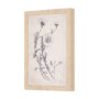 14784 - Chamomile Drawing I by Mercana Studio a Hand Embellished Textured Framed Art Print
