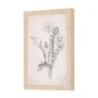 14784 - Chamomile Drawing I by Mercana Studio a Hand Embellished Textured Framed Art Print