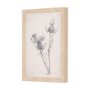 14784 - Chamomile Drawing I by Mercana Studio a Hand Embellished Textured Framed Art Print