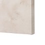 102452-L - Dandelion Drawing II by Mercana Studio a Hand Embellished Textured Canvas