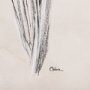 102452-L - Dandelion Drawing II by Mercana Studio a Hand Embellished Textured Canvas