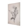 102452-S - Dandelion Drawing II by Mercana Studio a Hand Embellished Textured Canvas