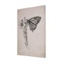 102453-S - Wild Aster With  Monarch Butterfly Drawing III by Mercana Studio a Hand Embellished Textured Canvas