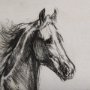 102457-L - Old West Collection V ( Horse Sketch) by Mercana Studio a Hand Embellished Textured Canvas