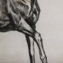 102457-S - Old West Collection V ( Horse Sketch) by Mercana Studio a Hand Embellished Textured Canvas
