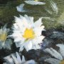 102478-S - Sunrise Valley II by Mercana Studio a Hand Embellished Textured Canvas
