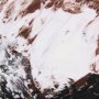 102490-L - Sakura Rain III by Mercana Studio a Hand Embellished Textured Canvas