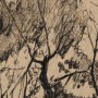 102501-S - Tree Drawing I by Mercana Studio a Hand Embellished Textured Canvas