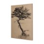 102503-S - Tree Drawing III by Mercana Studio a Hand Embellished Textured Canvas