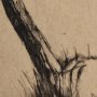 102503-S - Tree Drawing III by Mercana Studio a Hand Embellished Textured Canvas