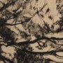 102503-S - Tree Drawing III by Mercana Studio a Hand Embellished Textured Canvas