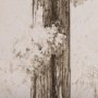 102505-S - Westcoast Tree Drawing I by Mercana Studio a Hand Embellished Textured Canvas