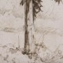102506-L - Westcoast Tree Drawing II by Mercana Studio a Hand Embellished Textured Canvas
