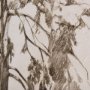 102506-L - Westcoast Tree Drawing II by Mercana Studio a Hand Embellished Textured Canvas
