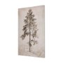 102506-S - Westcoast Tree Drawing II by Mercana Studio a Hand Embellished Textured Canvas