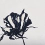 14677 - Sapphire Vase II by Mercana Studio a Hand Embellished Textured Framed Art Print Matted under Glass