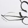 14682 - Blossoming Cherry Branch by Mercana Studio Hand Embellished Framed Art Print Matted under Glass