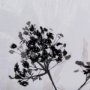 14683 - Meadow L by Mercana Studio a Hand Embellished Textured Framed Art Print Matted under Glass