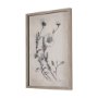 14701 - Chamomile Drawing I by Mercana Studio Hand Embellished Textured Framed Art Print Matted under Glass