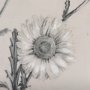 14701 - Chamomile Drawing I by Mercana Studio Hand Embellished Textured Framed Art Print Matted under Glass