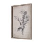 14702 - Dandelion Drawing II by Mercana Studio Hand Embellished Textured Framed Art Print Matted under Glass