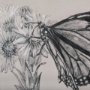 14703 - Wild Aster Monarch Butterfly III Mercana Studio Hand Embellished Framed Art Print Matted under Glass