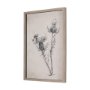 14704 - Thistle With Bumblebee Drawing IV Mercana Studio Hand Embellished Framed Art Print Matted under Glas