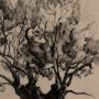14718 - Tree Drawing I by Mercana Studio a Hand Embellished Textured Framed Art Print Matted under Glass