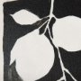 14736 - Lemon Branch Silhouette by Mercana Studio a Hand Embellished Textured Framed Art Print