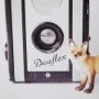 12077 - Fox & Vintage Camera by Susannah Tucker Photography a Framed Photo Art Print Matted under Glass
