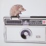 12078 - Hedgehog & Vintage Camera by Susannah Tucker Photography a Framed Photo Art Print Matted under Glass