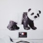 12080 - Panda & Vintage Camera by Susannah Tucker Photography a Framed Photo Art Print Matted under Glass