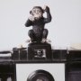 12081 - Monkeys & Vintage Camera by Susannah Tucker Photography a Framed Photo Art Print Matted under Glass