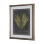10133 - Foliage Dramatique II by Vision Studio Hand Embellished Textured Framed Art Print Matted under Glass