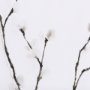 12012 - Snow Greetings I by Panpan a Framed Art Print Matted under Glass
