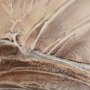 102518-CO - Colored Shells II by Studio M a handmade Original Framed Canvas 3D Textured Artwork