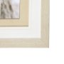 12330 - Ciervo 1 by THE Studio a Framed Photo Art Print Matted under Glass