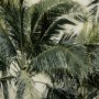 101190-L - Vague Nostalgia by Mercana Studio a Hand Embellished Textured Canvas
