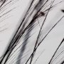 12304 - Organic II by Tony Koukos a Hand Embellished Textured Framed Art Photograph Matted under Glass