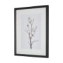 13219 - Magnolia II by Gabrielle C a Framed Art Print Matted under Glass