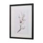13220 - Magnolia III by Gabrielle C a Framed Art Print Matted under Glass