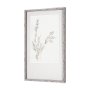13426 - Pussy Willows V by Chris Paschke a Hand Embellished Textured Framed Art Print Matted under Glass