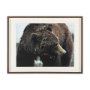 14875 - Grizzly Bear by Chad Mackay a Hand Embellished Textured Framed Photo Art Print Matted under Glass