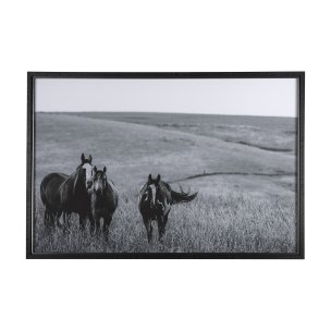 Montana Moves by Mercana Studio a Framed Photo Art Print Matted under Glass
