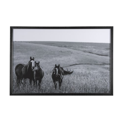 14903 - Montana Moves by Mercana Studio a Framed Photo Art Print Matted under Glass