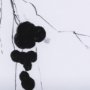 14812 - Winterberries I by Mercana Studio a Hand Embellished Textured Framed Art Print Matted under Glass