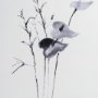 14816 - Anthurium II by Mercana Studio a Hand Embellished Textured Framed Art Print Matted under Glass