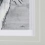14846 - Bird Portrait Sketch II by Mercana Studio Hand Embellished Framed Art Print Matted under Glass