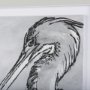14848 - Bird Portrait Sketch IV by Mercana Studio Hand Embellished Framed Art Print Matted under Glass